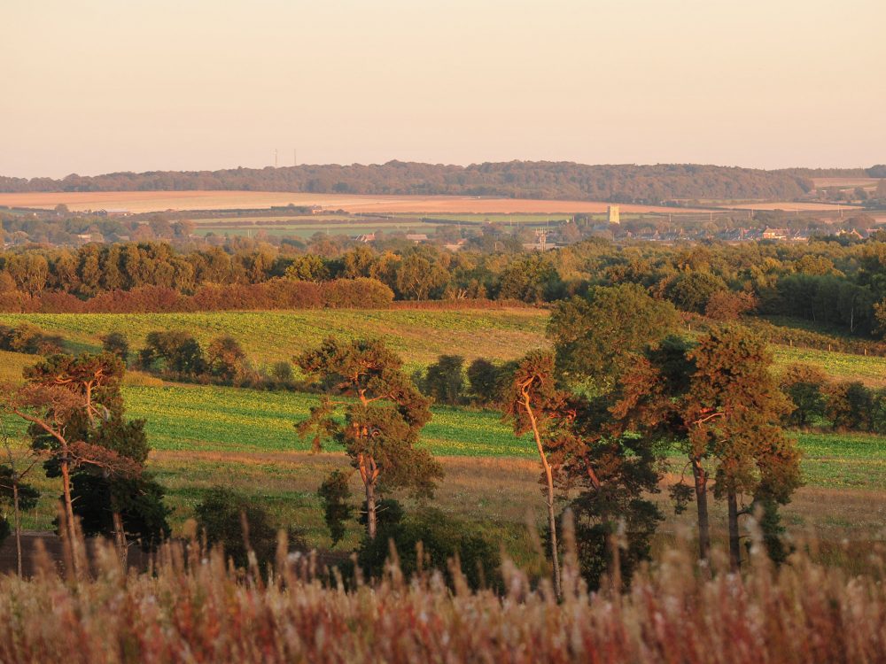 A countryside shot of rural west Norfolk before sunset.