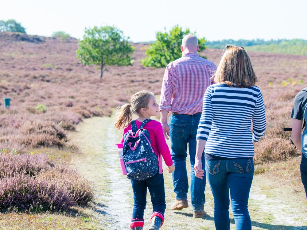 The Where to Stay in West Norfolk publication for 2022.