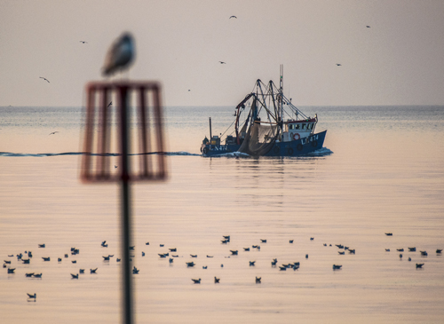 A boat sailing down the coast near Heacham Beach.