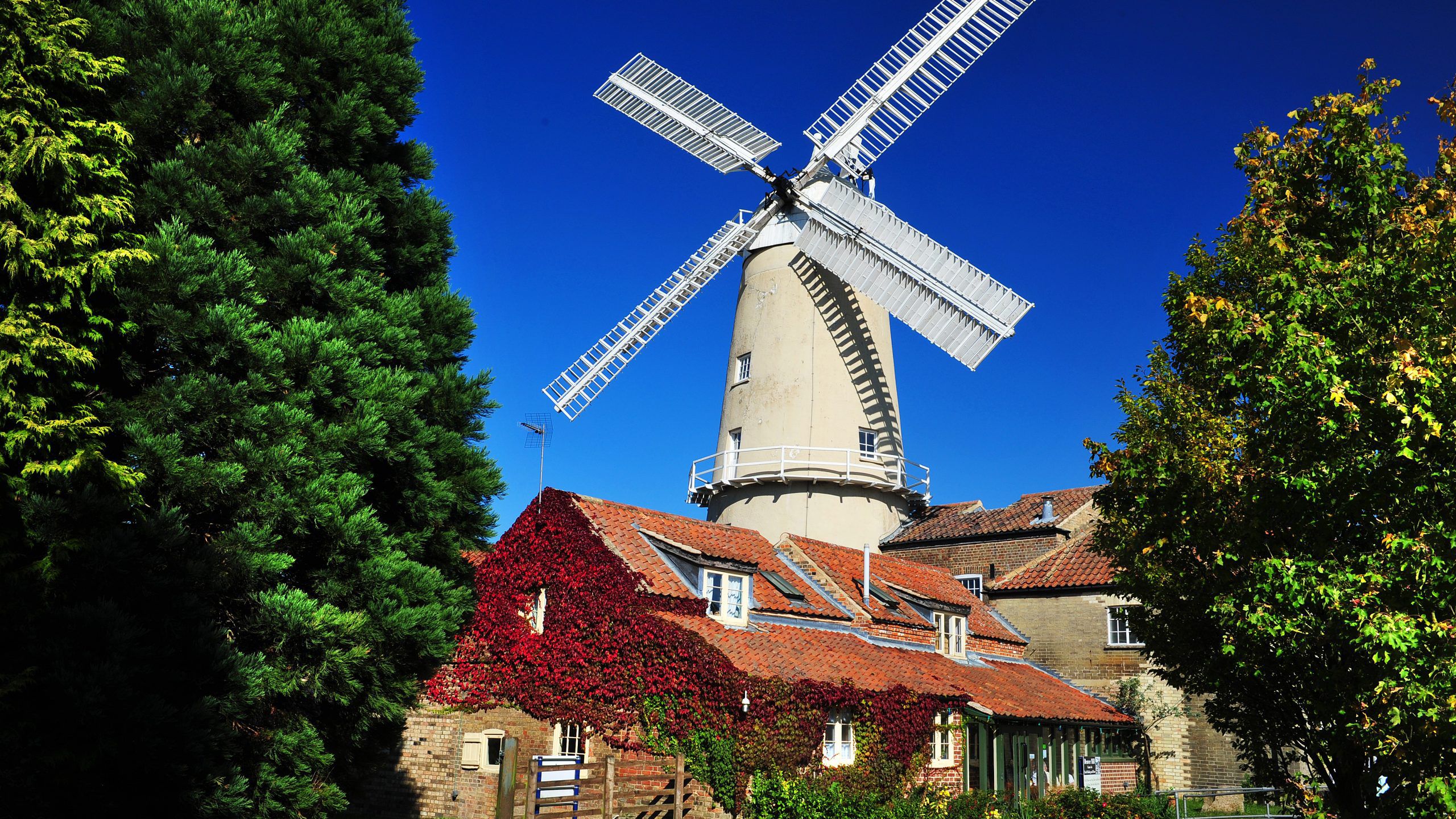 A beige windmill standing tall against a blue sky in west Norfolk.