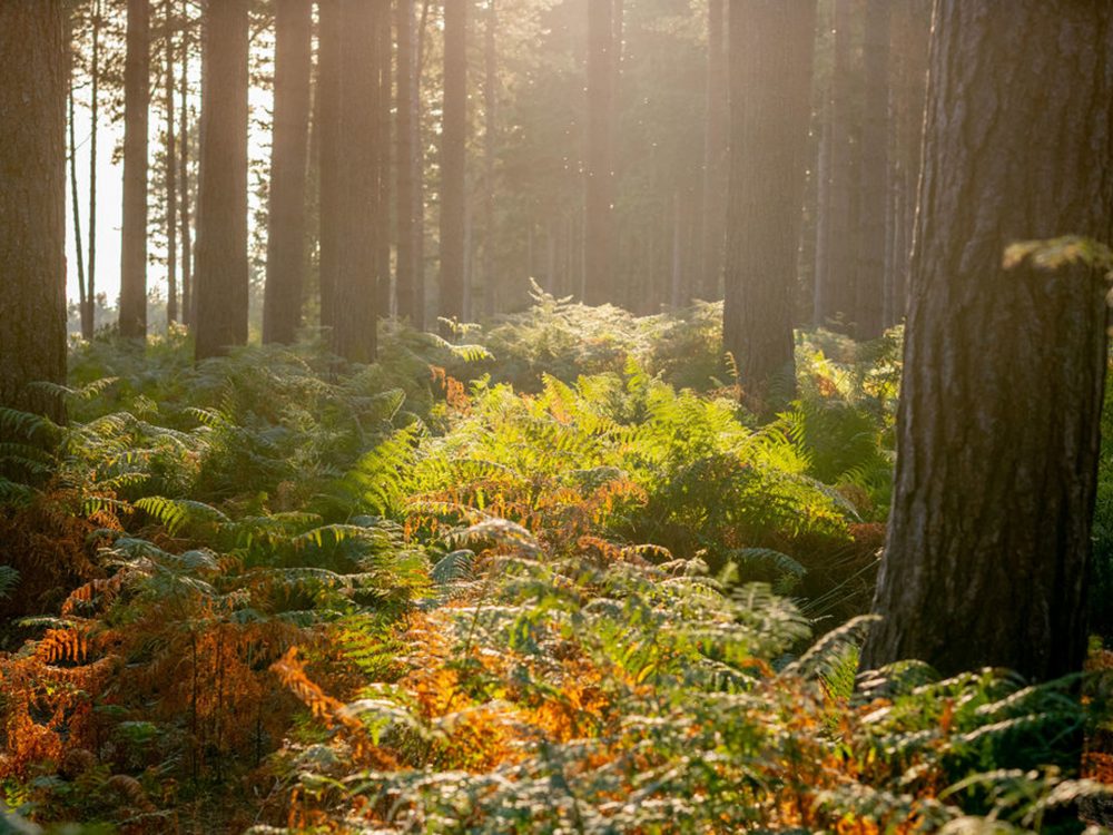 A sunset shot of the waves crashing on Old Hunstanton beach.