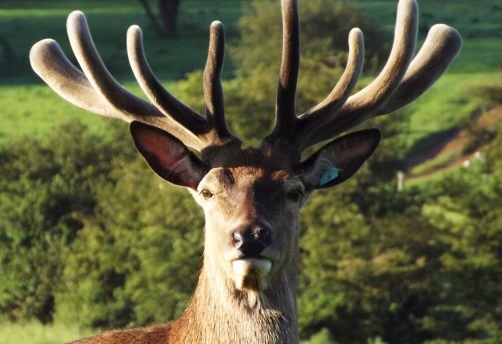 Exterior shot of Princess Theatre in Hunstanton