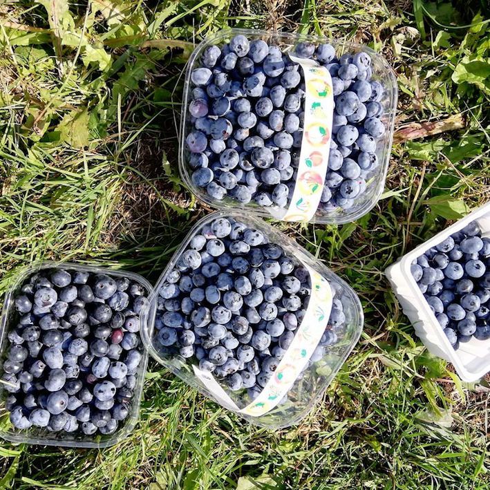 Exterior shot of Princess Theatre in Hunstanton