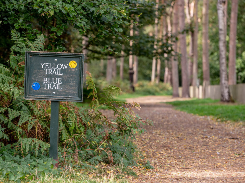 The Red Mount Chapel situated in the centre of The Walks in King's Lynn.