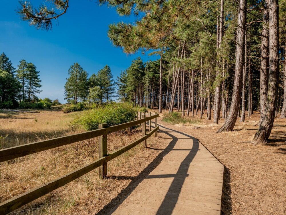 The Red Mount Chapel situated in the centre of The Walks in King's Lynn.