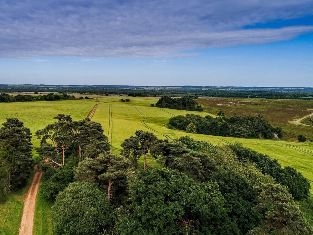 The Red Mount Chapel situated in the centre of The Walks in King's Lynn.