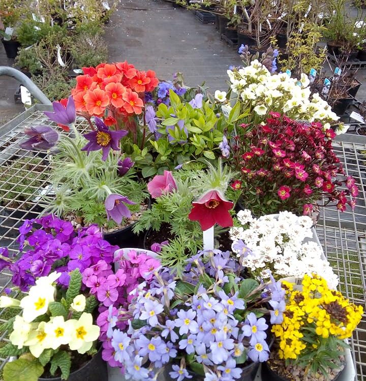 The Red Mount Chapel situated in the centre of The Walks in King's Lynn.