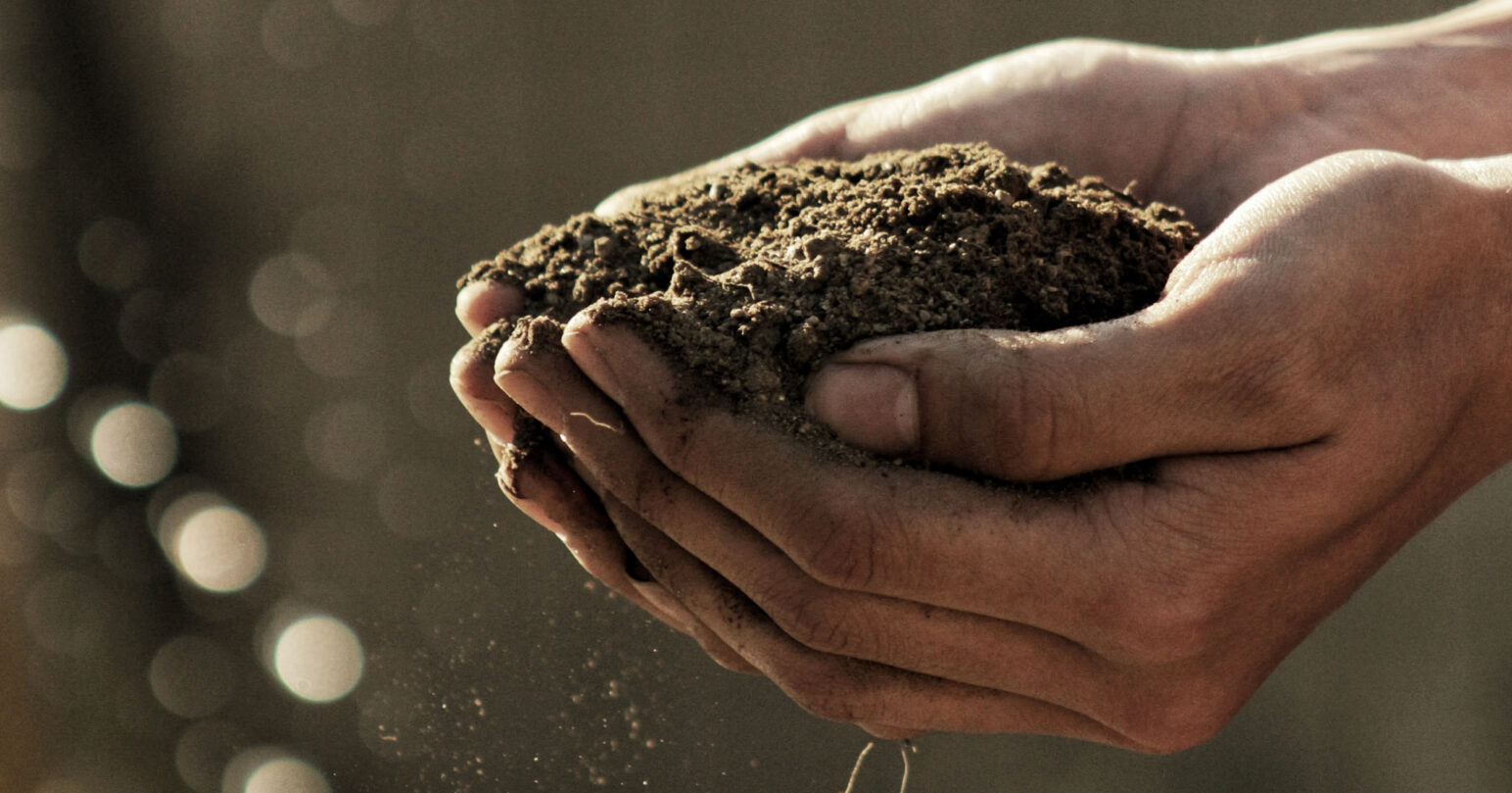 A person holding soil in their hands