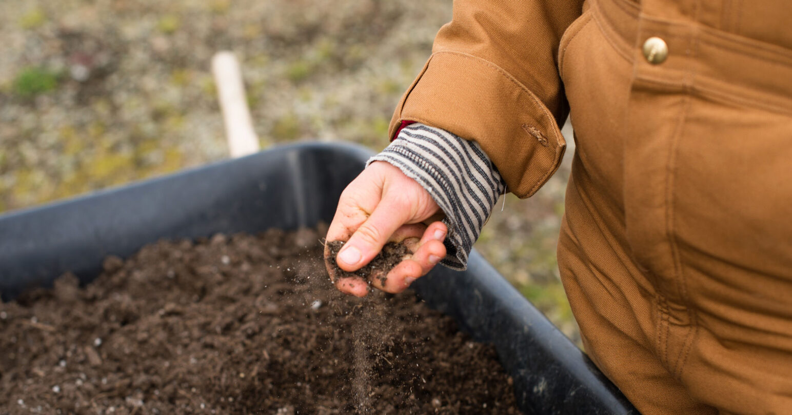 A person holding soil in their hands