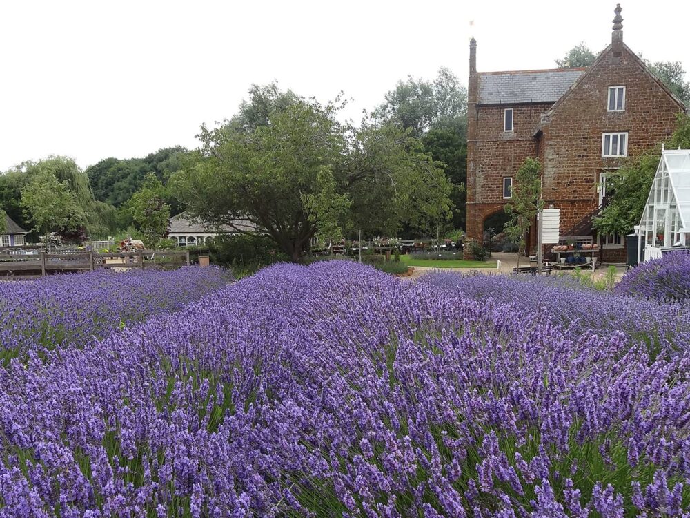 The Red Mount Chapel situated in the centre of The Walks in King's Lynn.