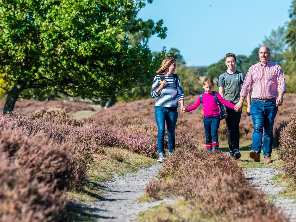 A family of four walking down the footpath on a sunny day at Grimston Warren, West Norfolk.