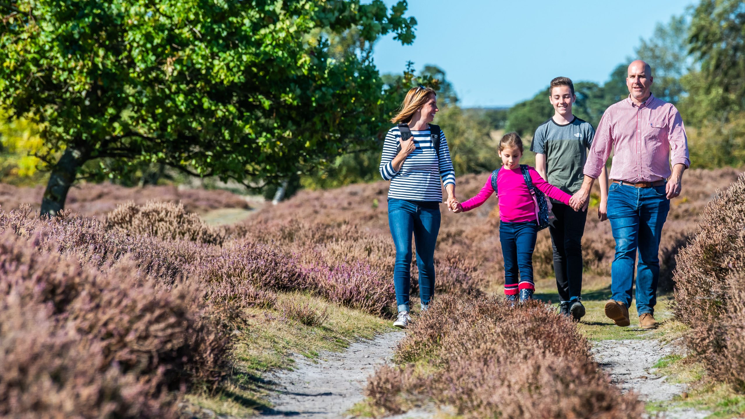 A family of four walking down the footpath on a sunny day at Grimston Warren, West Norfolk.