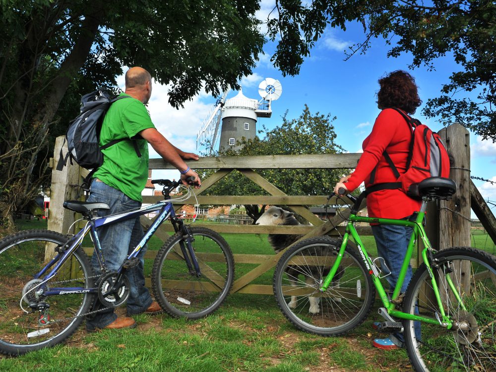 Bikers looking at a windmill. Biking is a sustainable travel method.