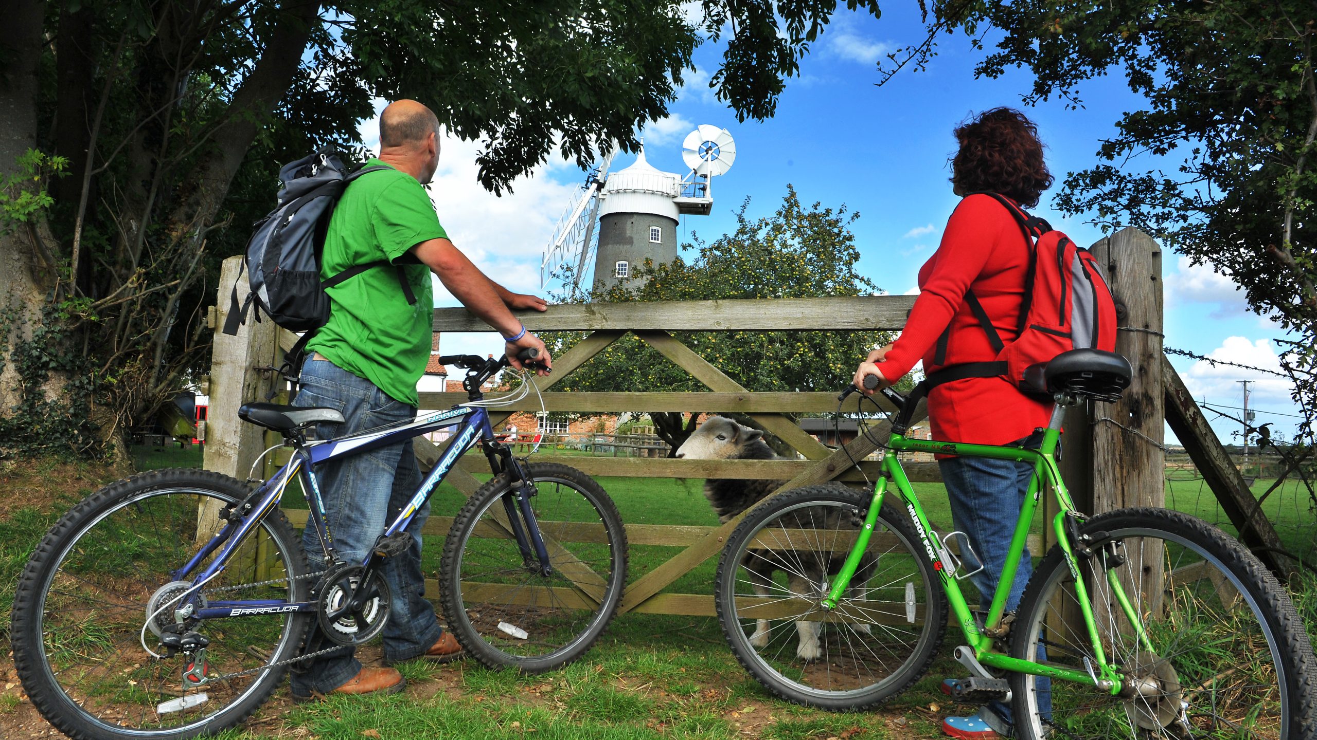 Bikers looking at a windmill. Biking is a sustainable travel method.