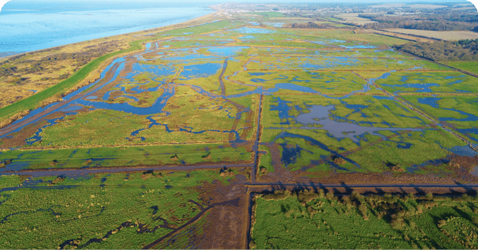 Birds eye view of the Wild Ken Hill diverse landscape in West Norfolk.