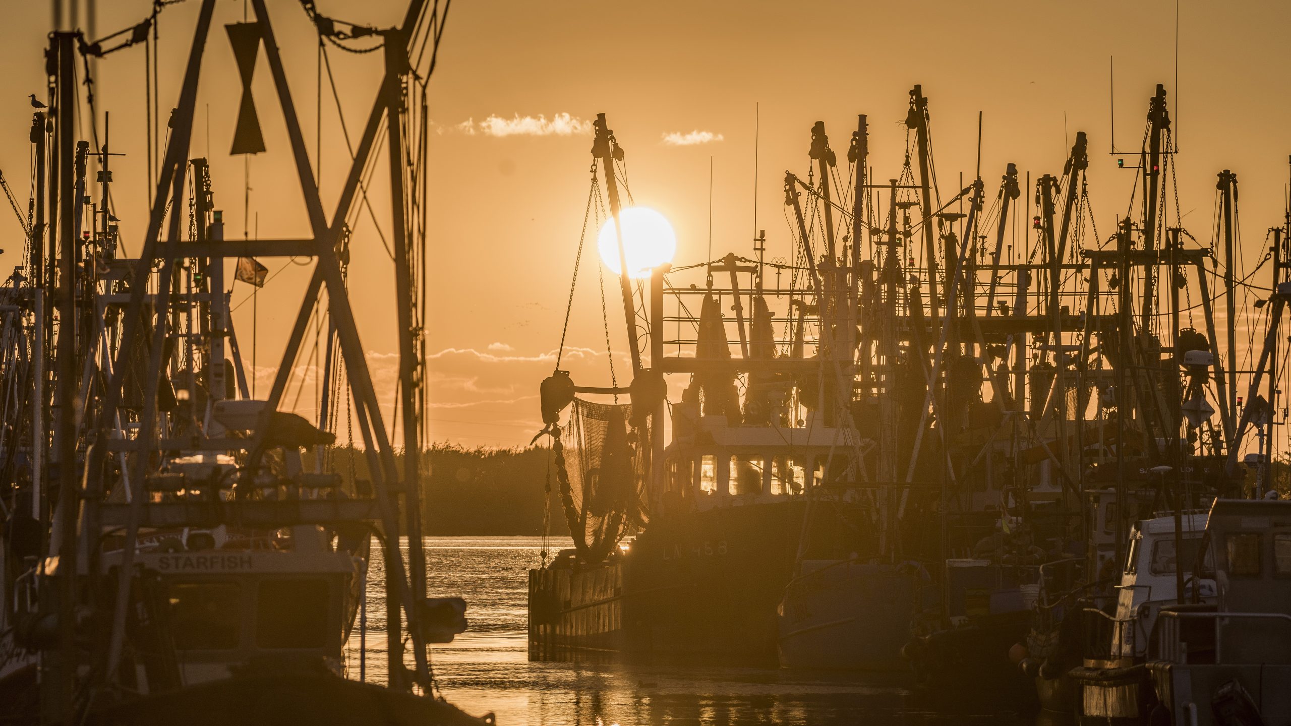 Fishing docks at King's Lynn, West Norfolk.