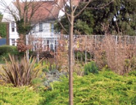 The Red Mount Chapel situated in the centre of The Walks in King's Lynn.