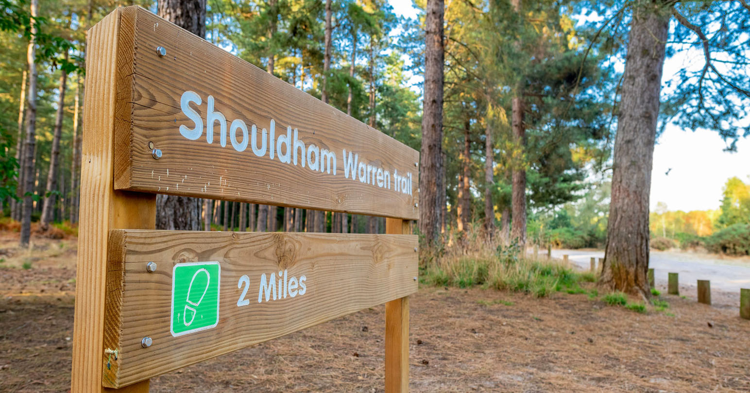 A wooden sign reading "Shouldham Warren 2 Miles" in Shouldham Warren woodland, west Norfolk.