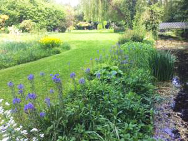 Holkham National Nature Reserve in West Norfolk.