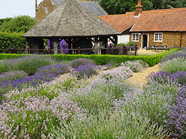 Holkham National Nature Reserve in West Norfolk.