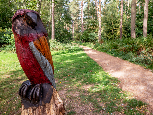 Holkham National Nature Reserve in West Norfolk.