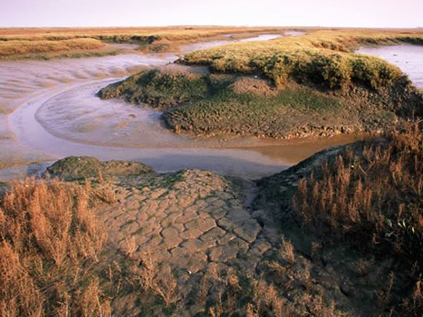 Holkham National Nature Reserve in West Norfolk.