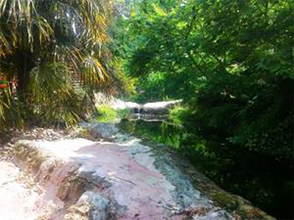 Holkham National Nature Reserve in West Norfolk.