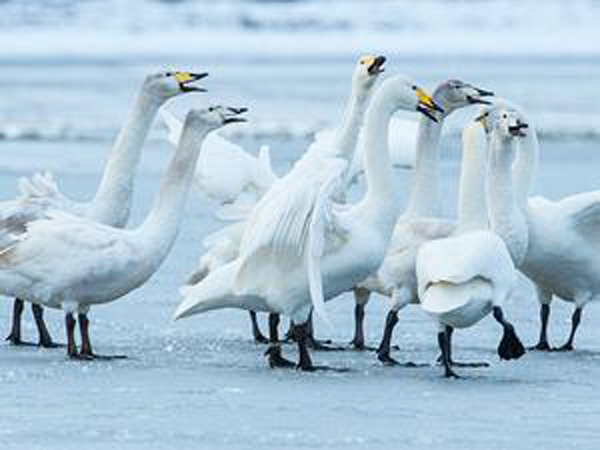 Holkham National Nature Reserve in West Norfolk.