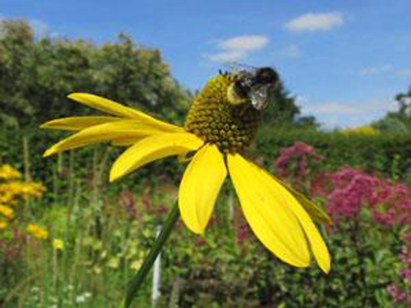 Holkham National Nature Reserve in West Norfolk.