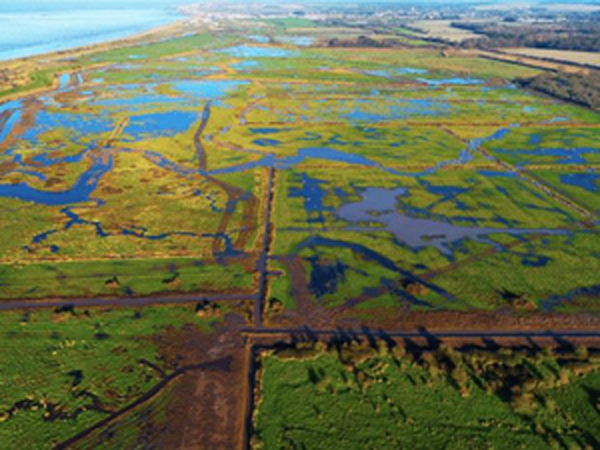 Holkham National Nature Reserve in West Norfolk.