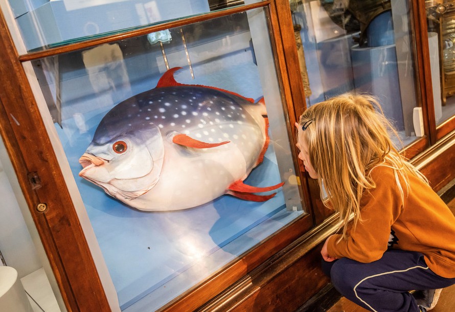 Water Ski Racing on the River Ouse in King's Lynn, West Norfolk.