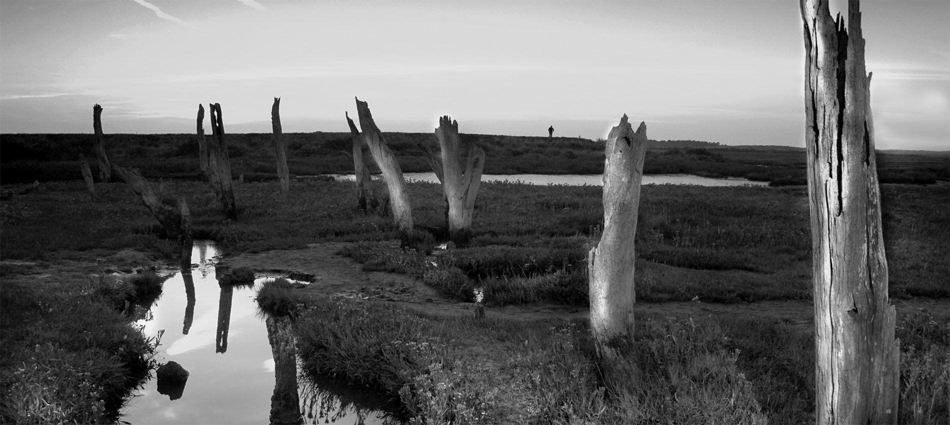 A photograph of the Norfolk coastal landscape.