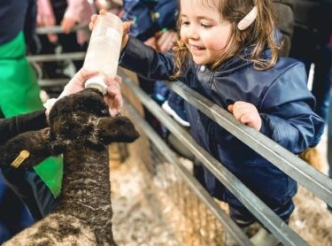 wicker basket with Easter egg