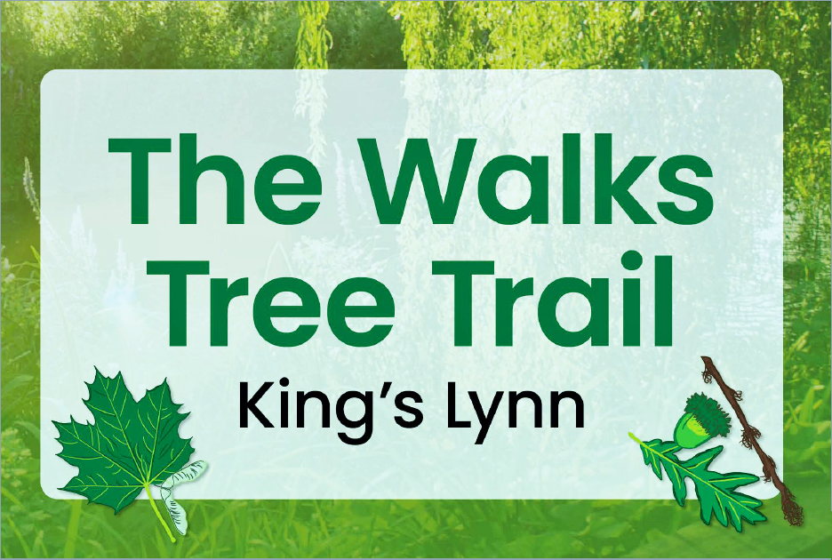 Discover King's Lynn leaflet cover